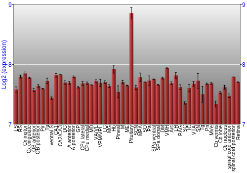Expression graph