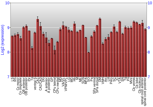 Multi-state expression graph