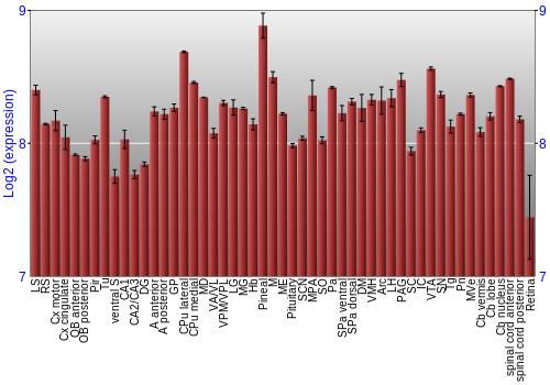 Expression graph