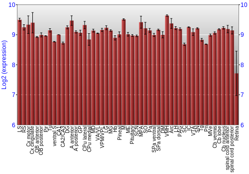 Expression graph