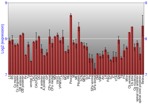 Expression graph