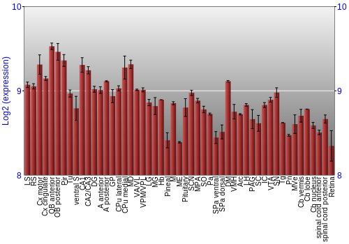 Expression graph
