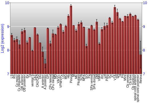 Expression graph