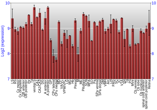 Expression graph
