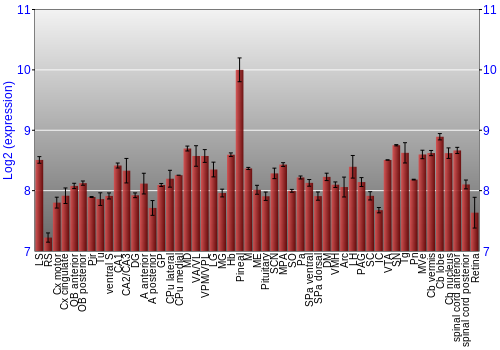 Expression graph