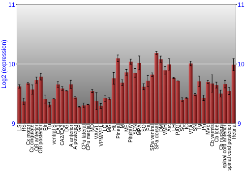 Expression graph