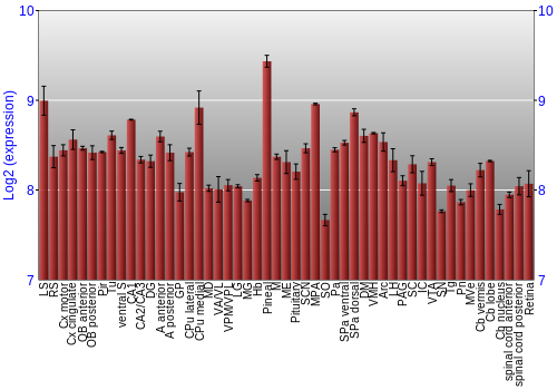 Expression graph