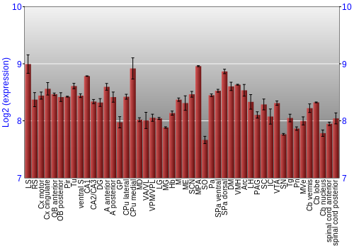 Multi-state expression graph