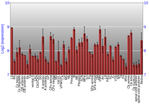 Expression graph