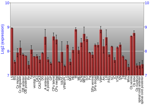 Multi-state expression graph