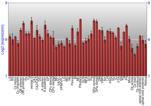 Expression graph