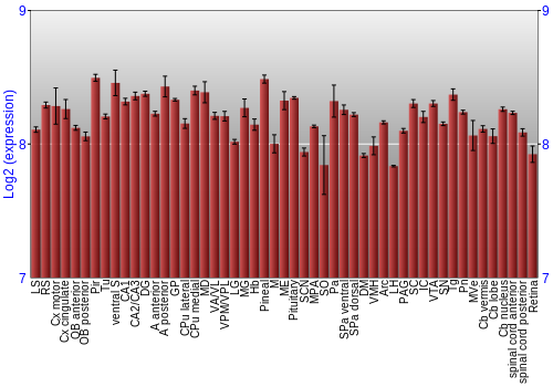 Expression graph