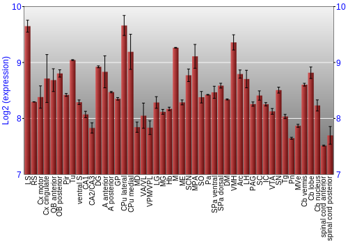 Multi-state expression graph