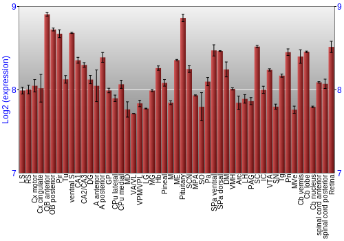 Expression graph