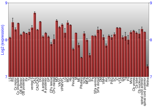 Expression graph