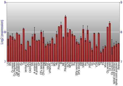 Expression graph