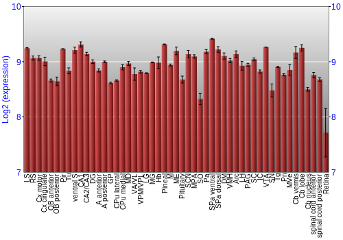 Expression graph