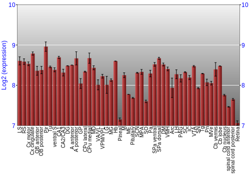 Expression graph