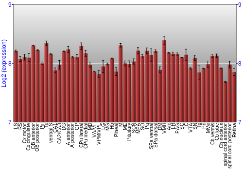 Expression graph
