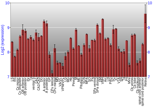 Expression graph