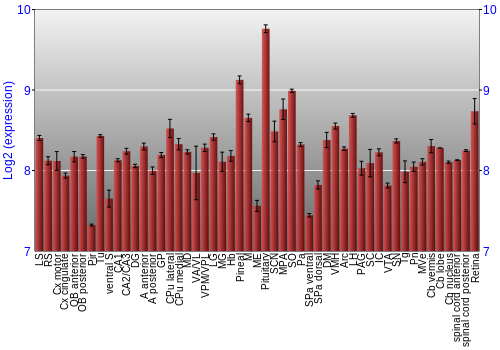 Expression graph