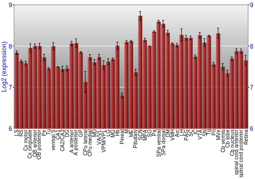 Expression graph