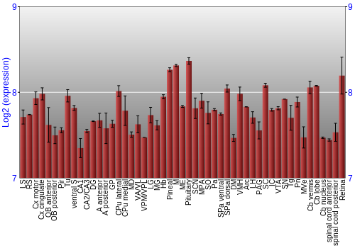 Expression graph