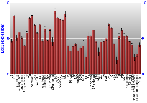 Expression graph