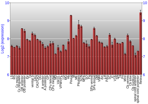 Expression graph