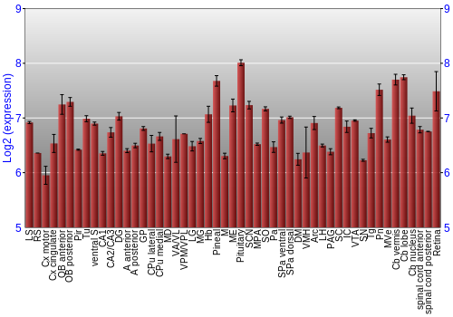 Expression graph