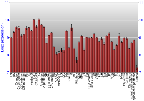 Expression graph