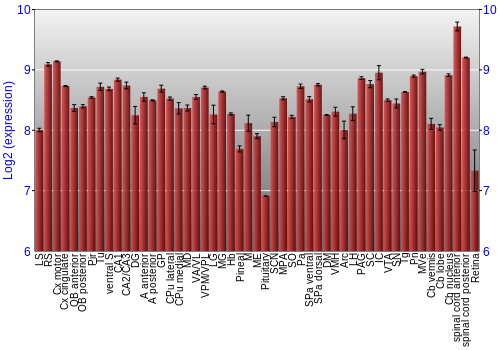 Expression graph