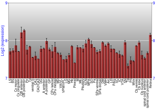 Expression graph