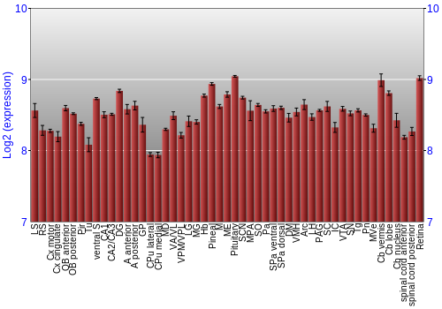 Expression graph