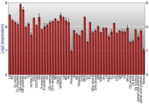 Expression graph