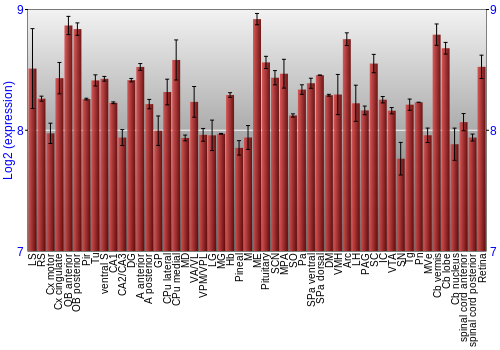 Expression graph
