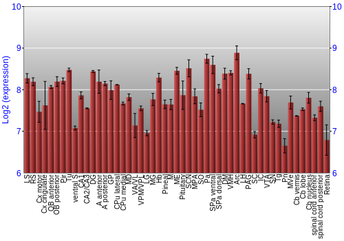 Expression graph