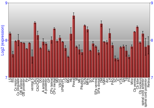 Expression graph