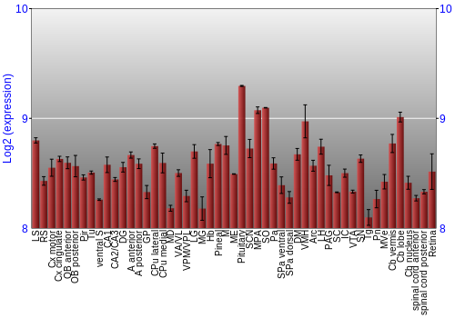 Expression graph