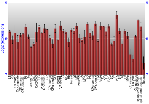 Expression graph
