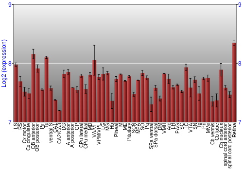 Expression graph