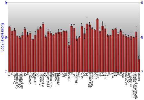 Expression graph