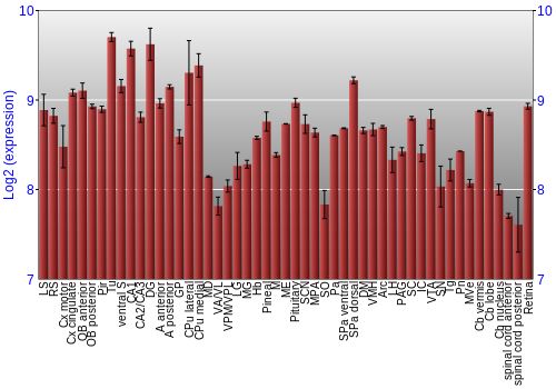 Expression graph