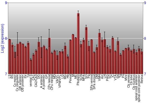 Expression graph