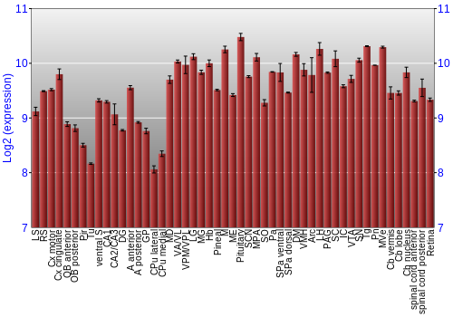 Expression graph