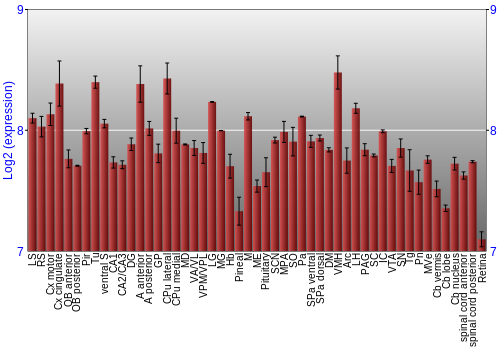 Expression graph