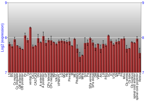 Expression graph