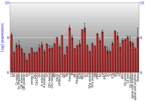 Expression graph