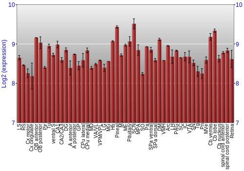 Expression graph