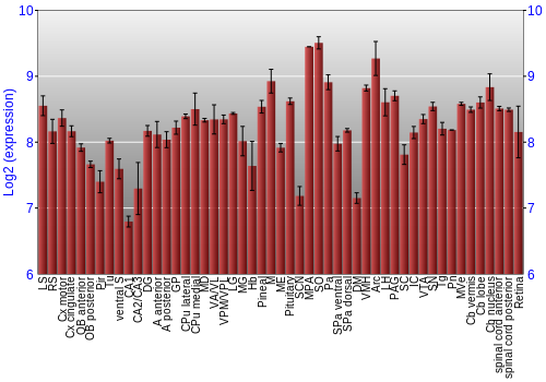 Expression graph